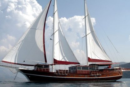 ÇelikEs1